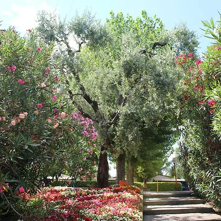 Campeggio Cisano - San Vito