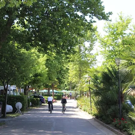 Cisano - San Vito Campingplads Bardolino